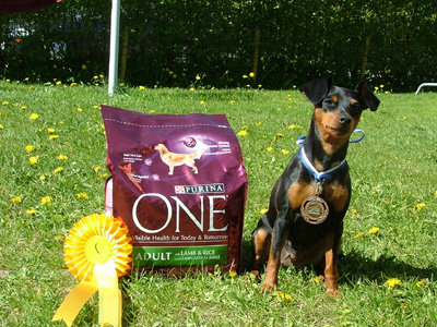 Wiima with her agility prizes. Copyright R. Vepslinen